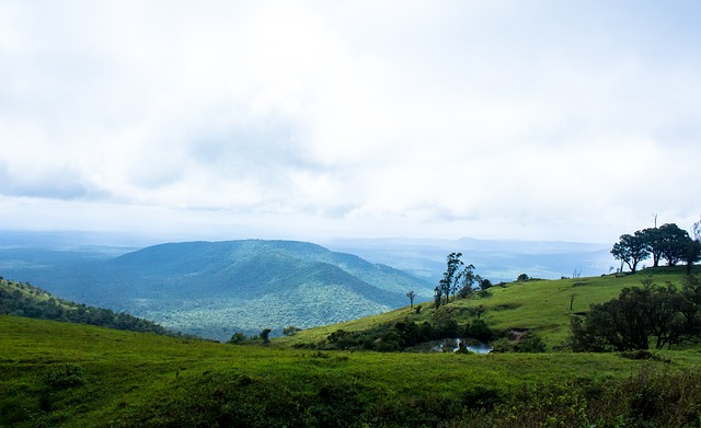 的地形成为 的地形成为