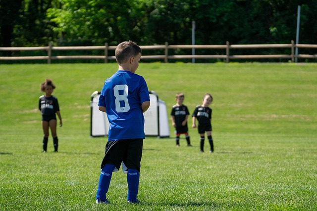 了球迷的热 了球迷的热