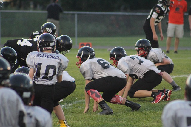 全场仅用 全场仅用