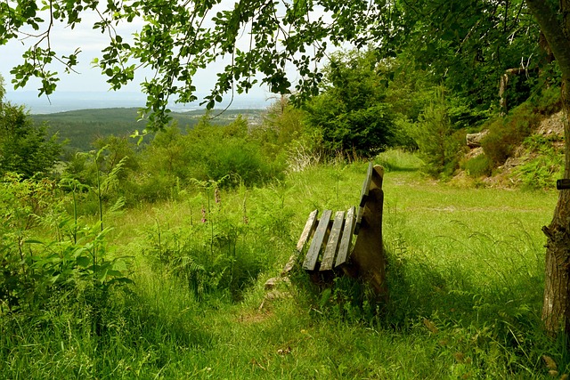 临着来自自 临着来自自